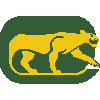 Chicago Cougars