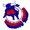 Toronto Toros